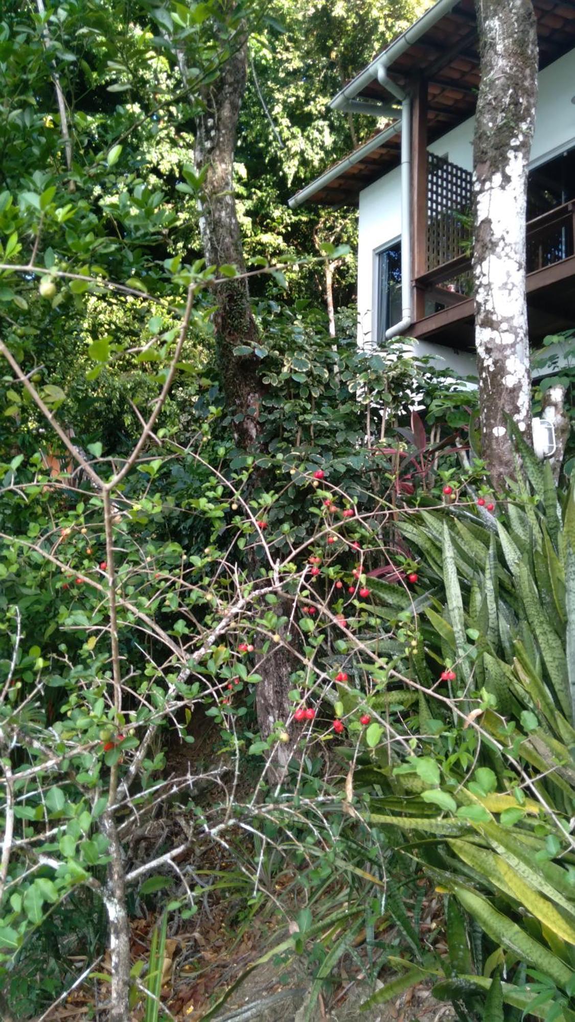 Casa Shuhari Βίλα Morro de São Paulo Εξωτερικό φωτογραφία
