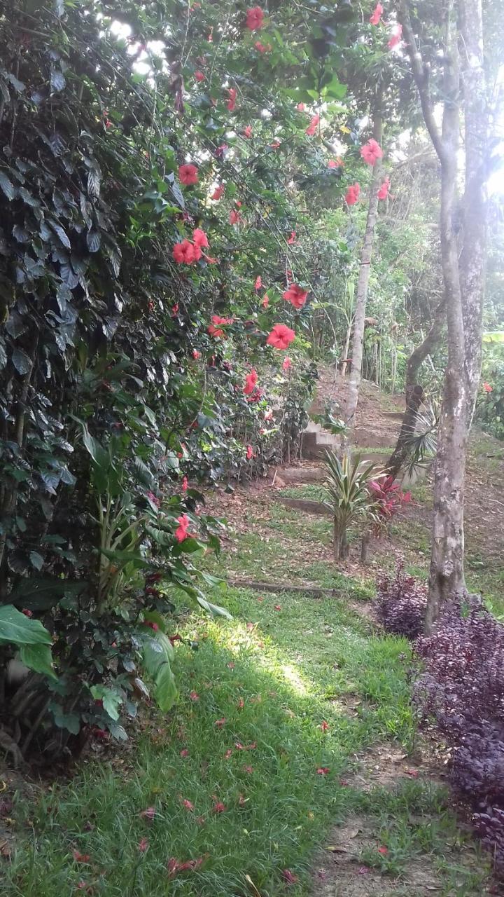 Casa Shuhari Βίλα Morro de São Paulo Εξωτερικό φωτογραφία